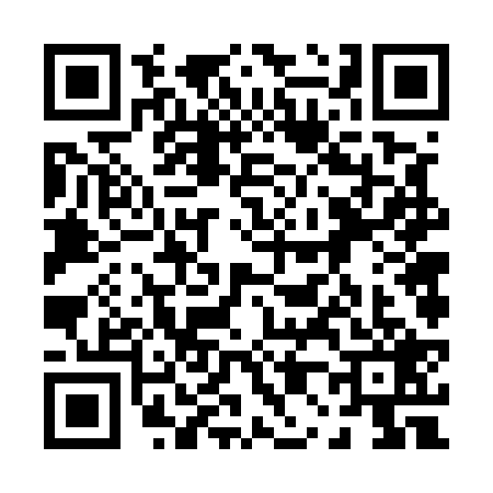 QR code for 0065291