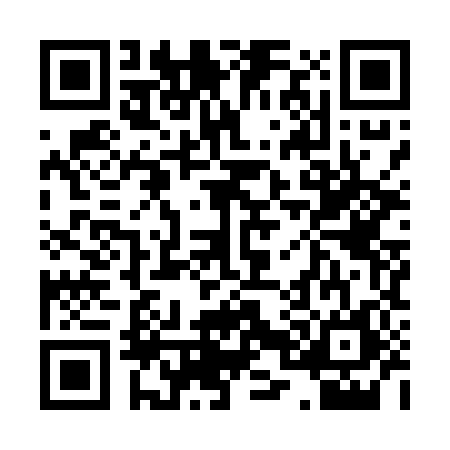 QR code for 0095868