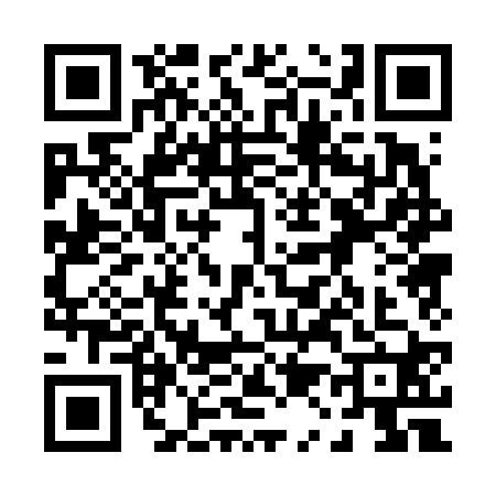 QR code for 0106207