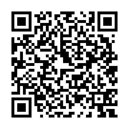 QR code for 0176313