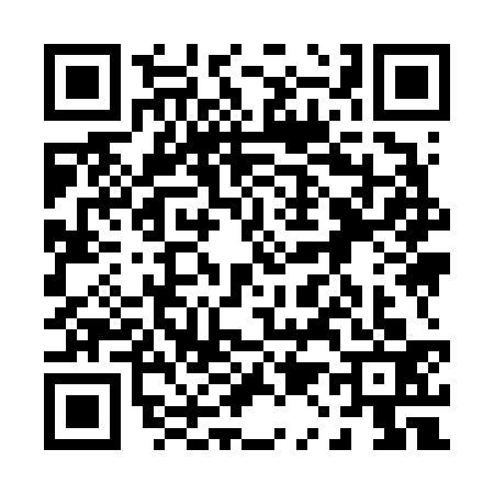 QR code for 0196338