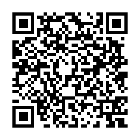 QR code for 0204317