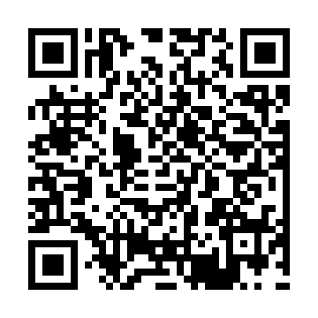 QR code for 0223384