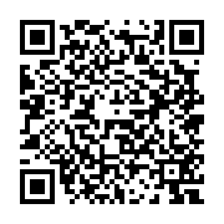 QR code for 0250533