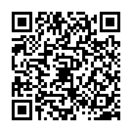 QR code for 0293389