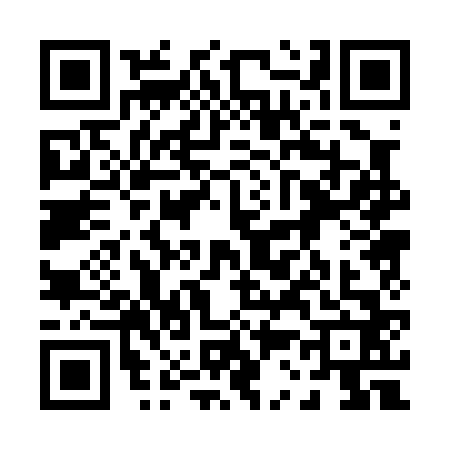 QR code for 0300620