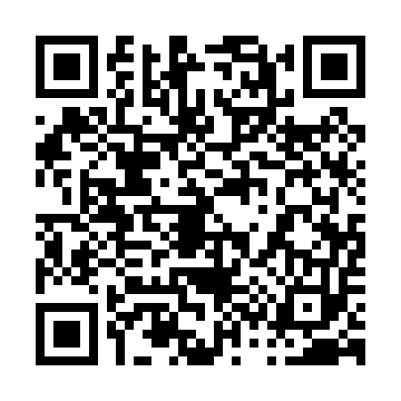 QR code for 0310539