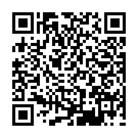 QR code for 0312591