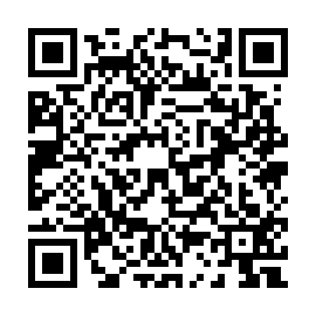 QR code for 0317137