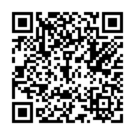 QR code for 0333817