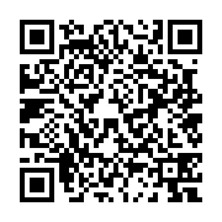 QR code for 0370384