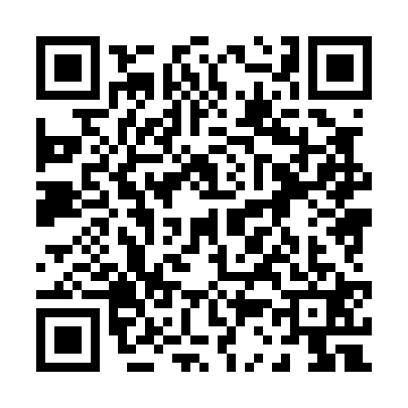 QR code for 0380218