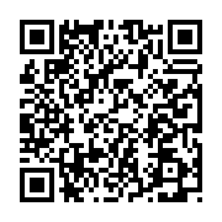 QR code for 0380520