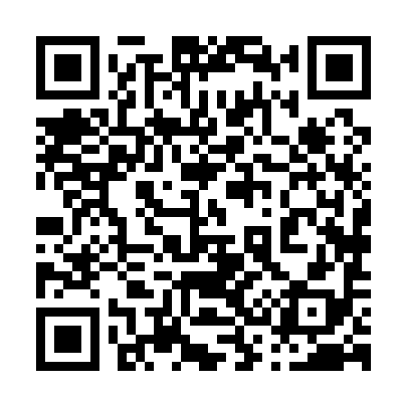 QR code for 038198