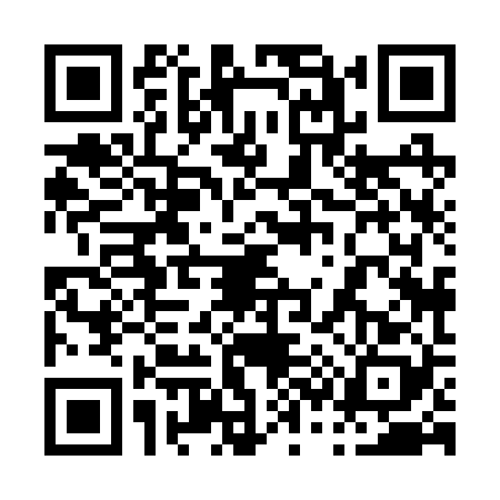 QR code for 0382281