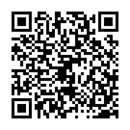 QR code for 0382542