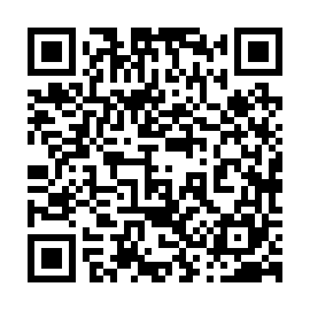 QR code for 038265