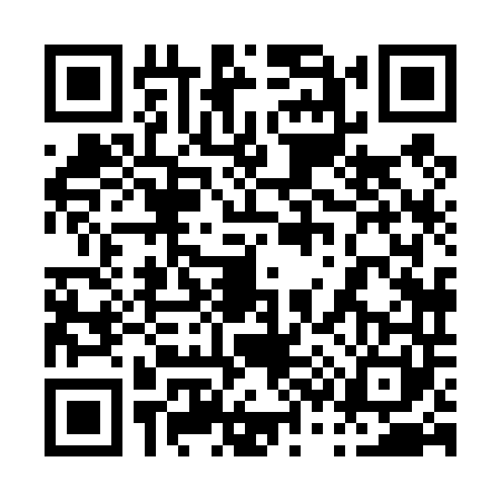 QR code for 0384413