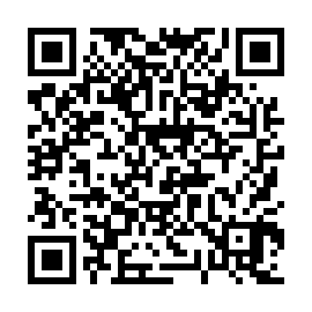 QR code for 038500