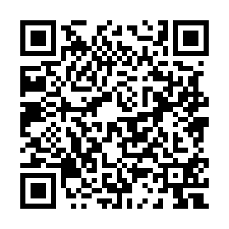 QR code for 0385104