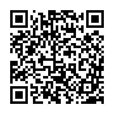QR code for 038543
