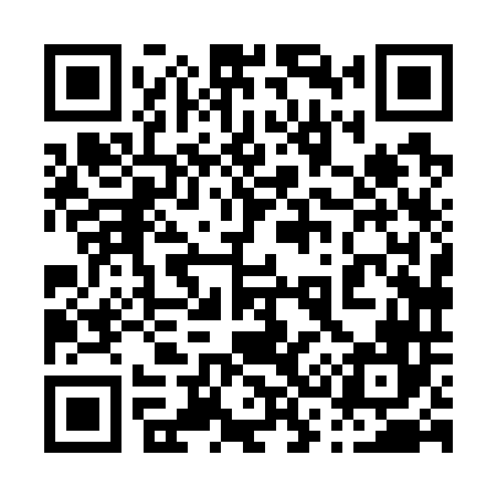 QR code for 038746