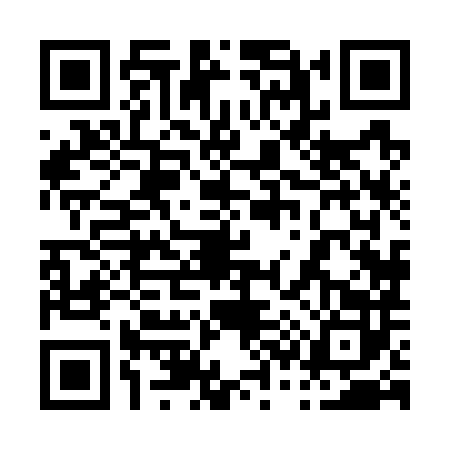 QR code for 0387821
