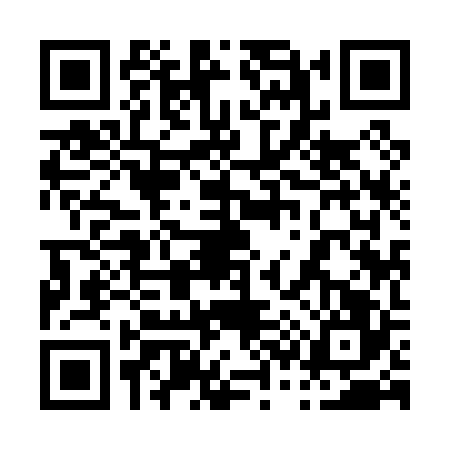 QR code for 0390263
