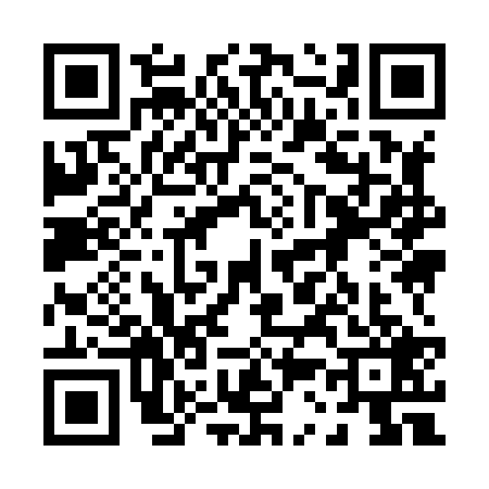 QR code for 0398291