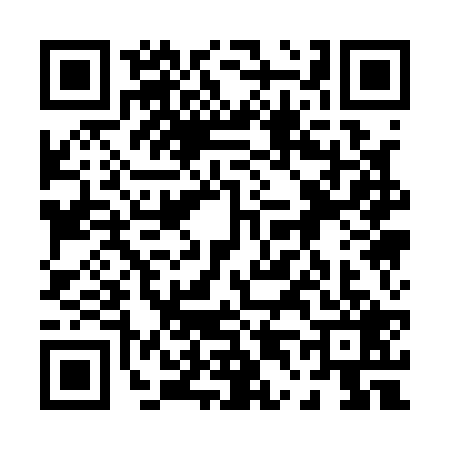 QR code for 0411299