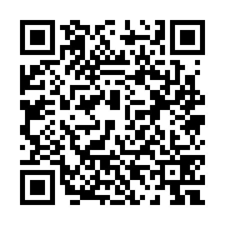 QR code for 0413795