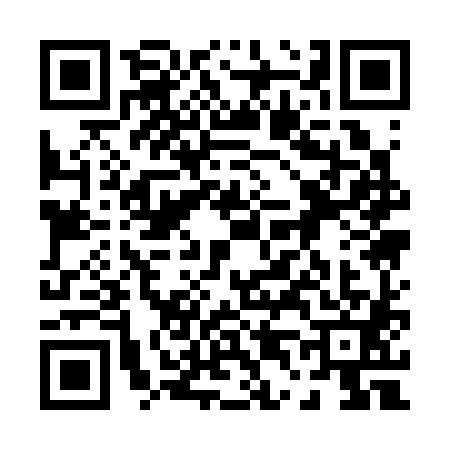 QR code for 0413813