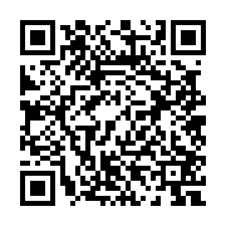 QR code for 0420038