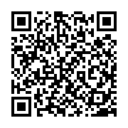 QR code for 042538
