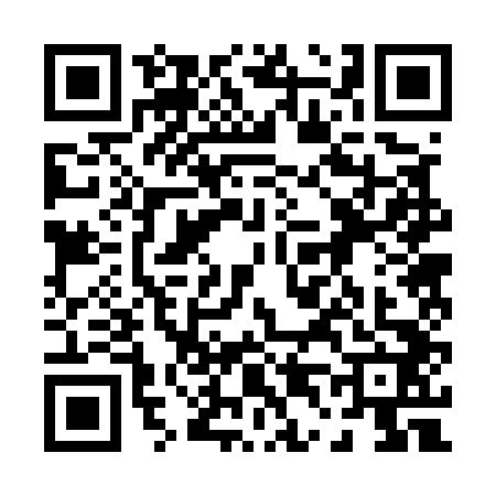 QR code for 0425428