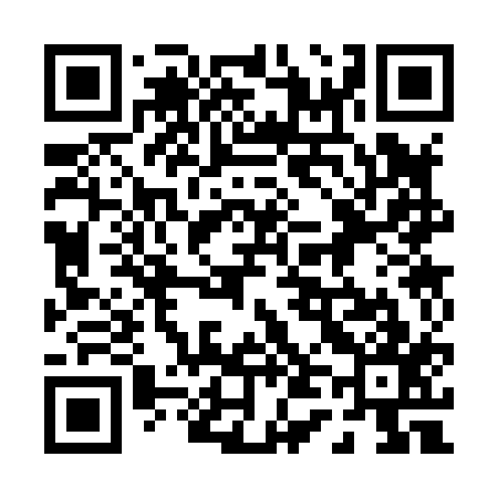QR code for 043817