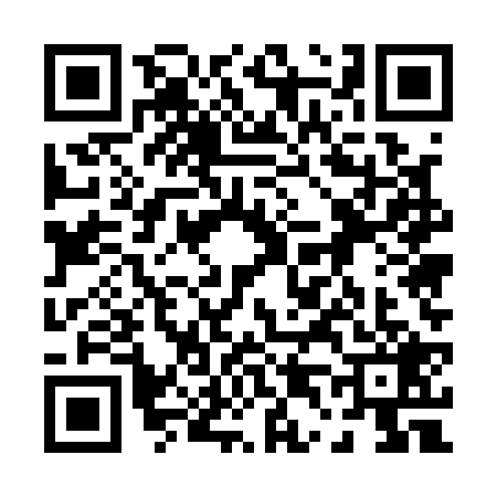 QR code for 0451299