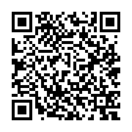 QR code for 0453351