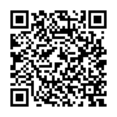 QR code for 0453565