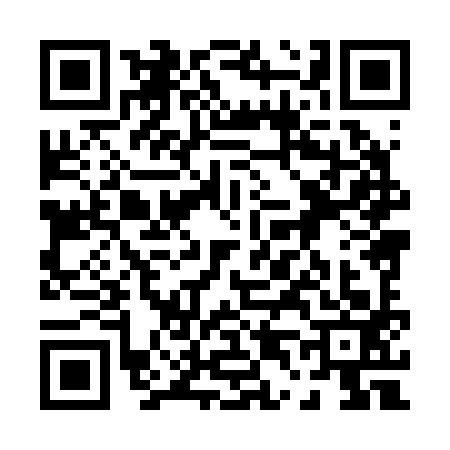 QR code for 0482939