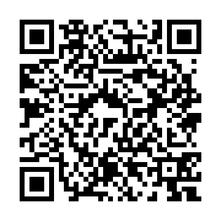QR code for 0493706