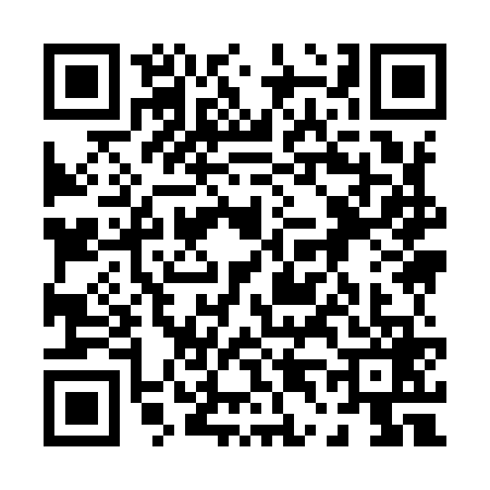 QR code for 0499693