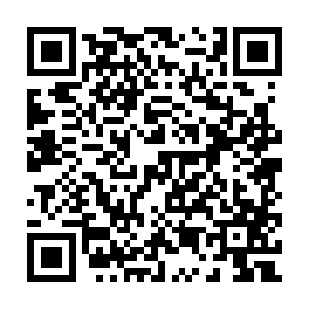 QR code for 0503870