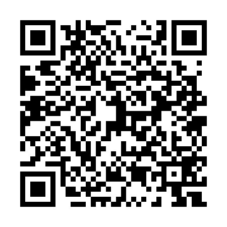 QR code for 0533599