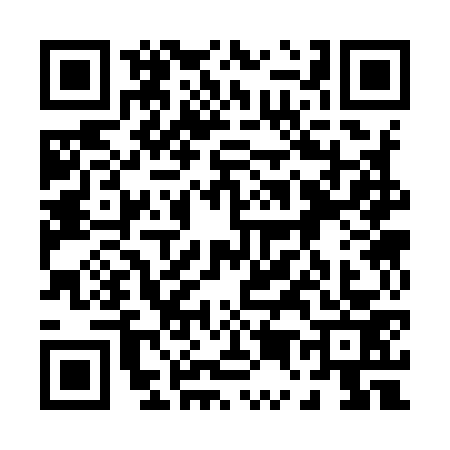 QR code for 0539738