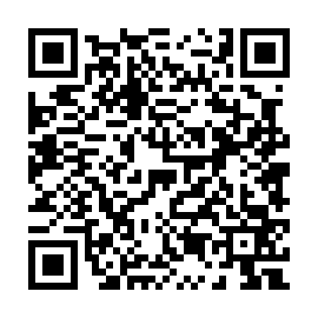 QR code for 0540630