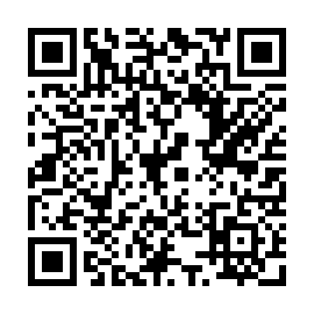 QR code for 0543313