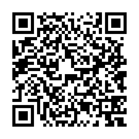 QR code for 0545386