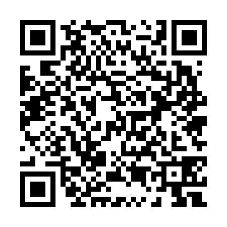 QR code for 0556387