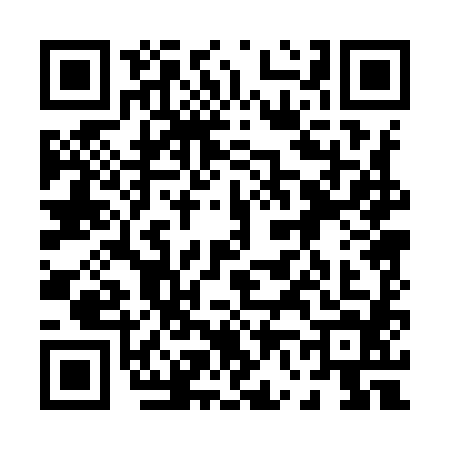 QR code for 0609841